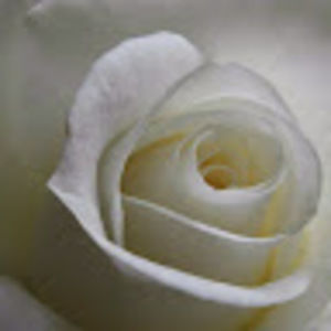 Meet your Posher, Arkisha